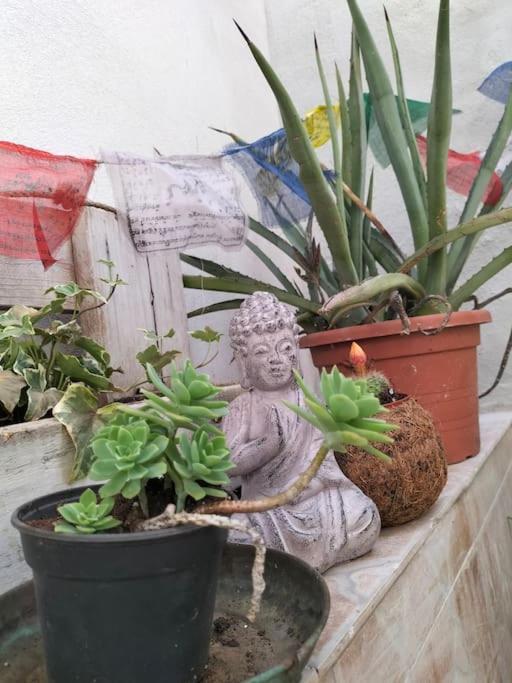 Casa Marta Apartman Cagliari Kültér fotó
